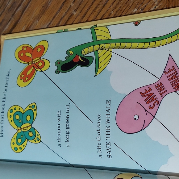 The Berenstain Bears And The Big Red Kite - Picture 8 of 14